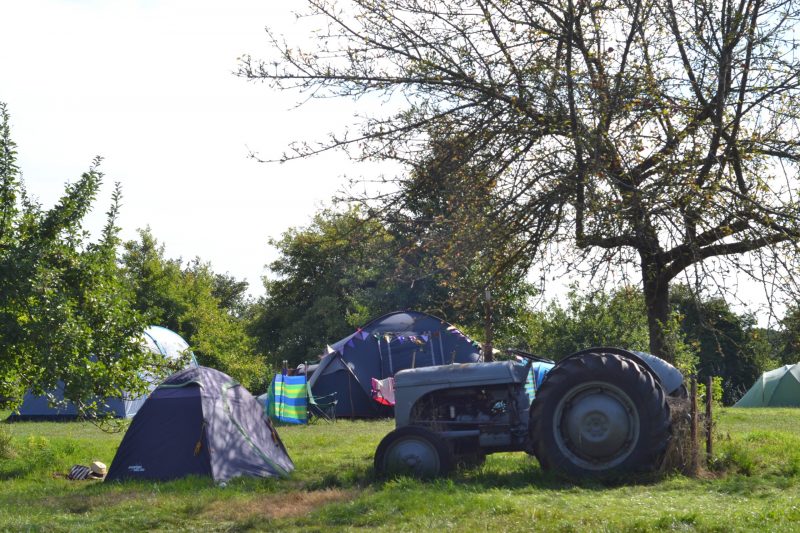 Protected: Broome Farm Orchard Camping